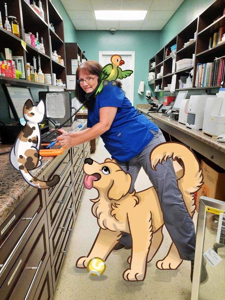 Animal Hospital at Rice Hope - Port Wentworth, GA - Our Veterinary Team