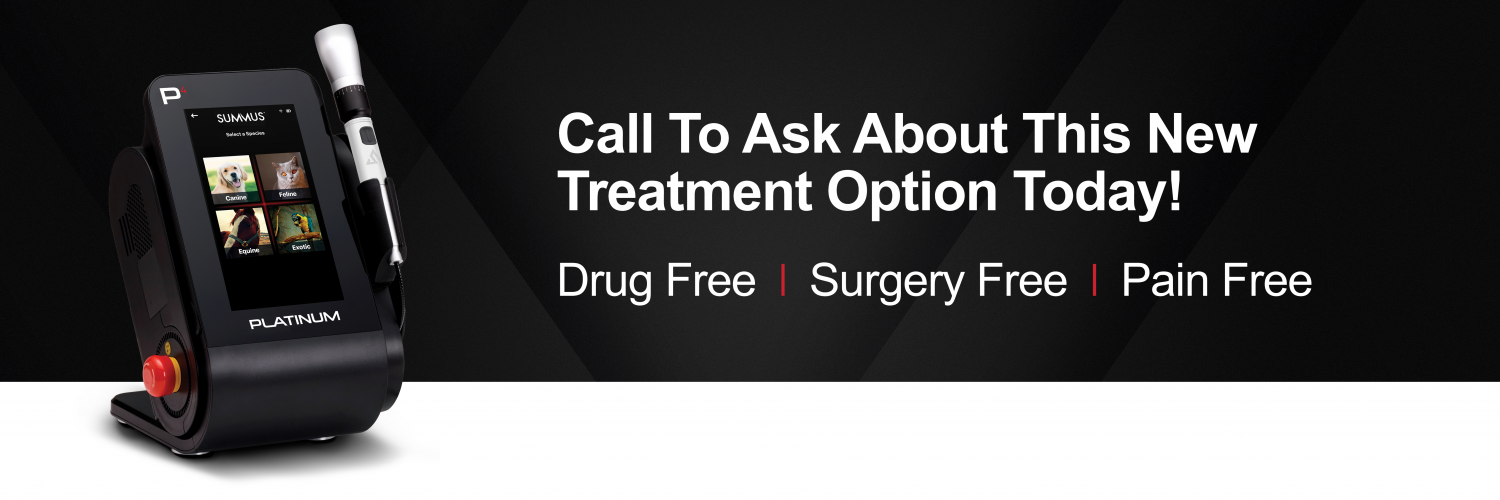 Call To Ask About This New Treatment Option Today! Drug Free | Surgery Free I Pain