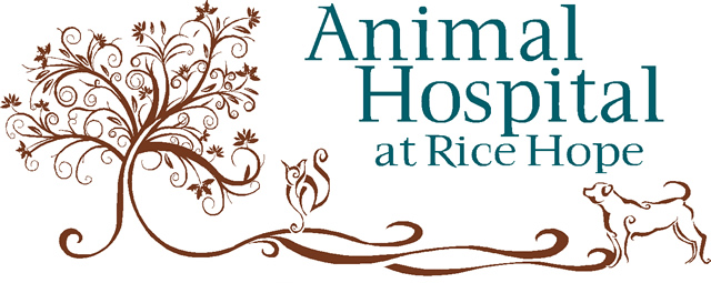 Animal Hospital at Rice Hope - Port Wentworth, GA - Home