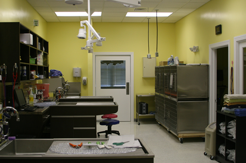 procedure room